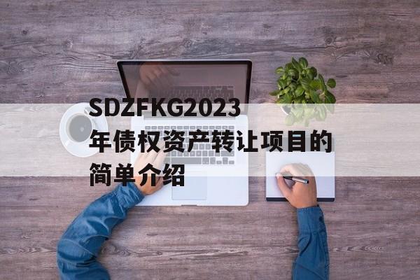 SDZFKG2023年债权资产转让项目的简单介绍