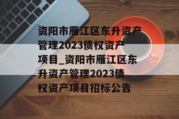 资阳市雁江区东升资产管理2023债权资产项目_资阳市雁江区东升资产管理2023债权资产项目招标公告