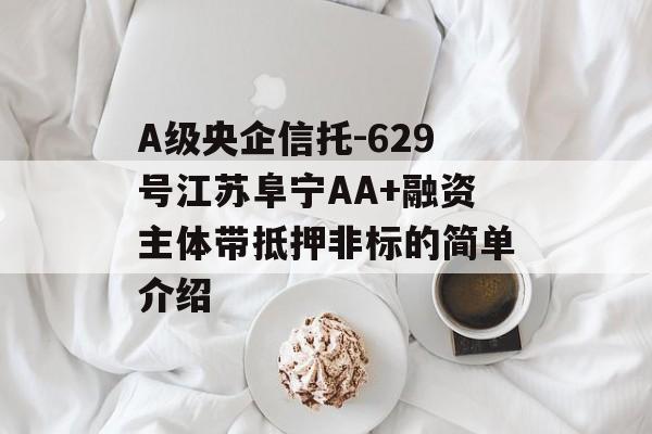 A级央企信托-629号江苏阜宁AA+融资主体带抵押非标的简单介绍