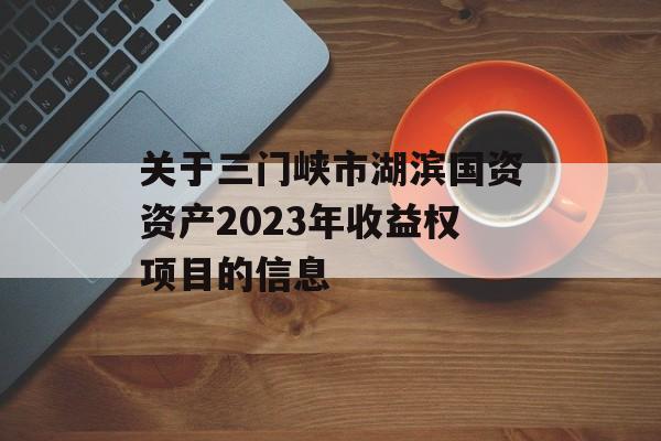 关于三门峡市湖滨国资资产2023年收益权项目的信息