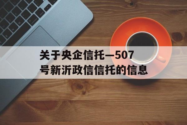 关于央企信托—507号新沂政信信托的信息