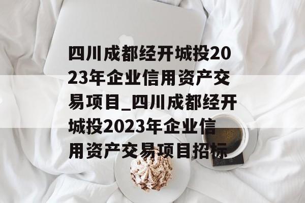 四川成都经开城投2023年企业信用资产交易项目_四川成都经开城投2023年企业信用资产交易项目招标