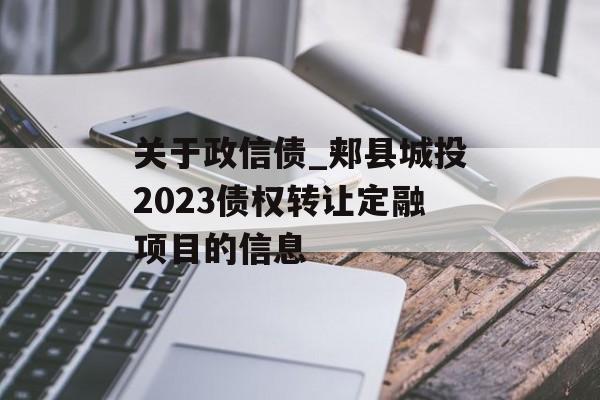 关于政信债_郏县城投2023债权转让定融项目的信息