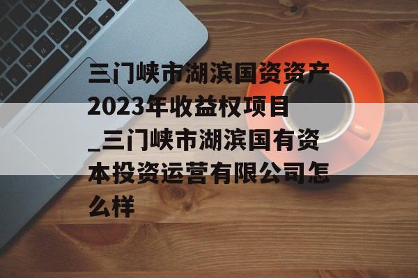 三门峡市湖滨国资资产2023年收益权项目_三门峡市湖滨国有资本投资运营有限公司怎么样