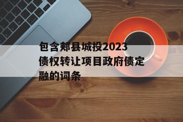 包含郏县城投2023债权转让项目政府债定融的词条