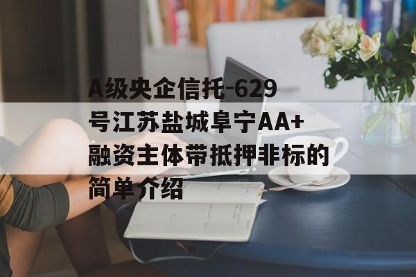 A级央企信托-629号江苏盐城阜宁AA+融资主体带抵押非标的简单介绍