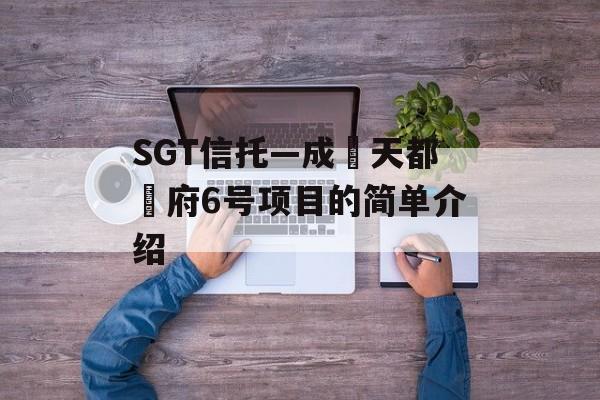 SGT信托—成‮天都‬府6号项目的简单介绍