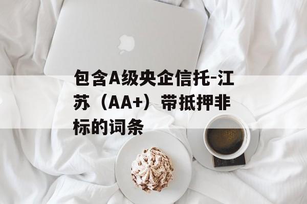 包含A级央企信托-江苏（AA+）带抵押非标的词条