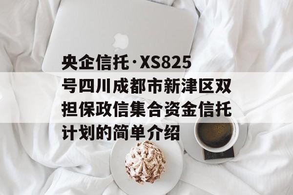 央企信托·XS825号四川成都市新津区双担保政信集合资金信托计划的简单介绍