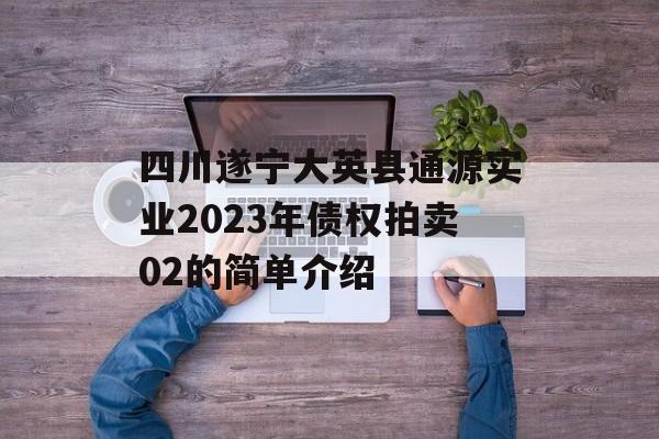 四川遂宁大英县通源实业2023年债权拍卖02的简单介绍