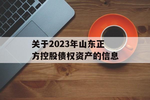 关于2023年山东正方控股债权资产的信息