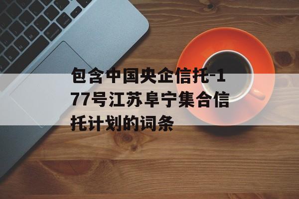 包含中国央企信托-177号江苏阜宁集合信托计划的词条