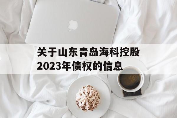 关于山东青岛海科控股2023年债权的信息