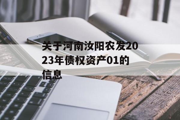 关于河南汝阳农发2023年债权资产01的信息