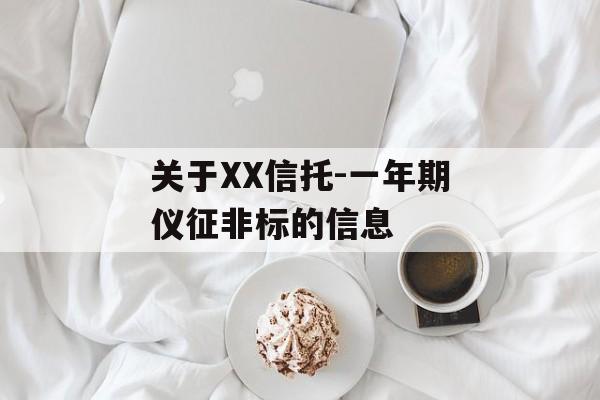 关于XX信托-一年期仪征非标的信息