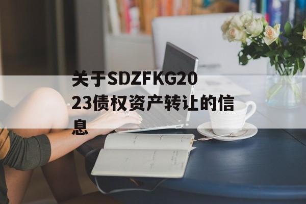 关于SDZFKG2023债权资产转让的信息