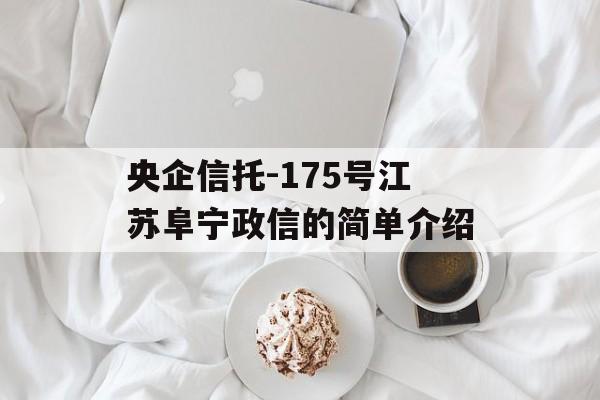 央企信托-175号江苏阜宁政信的简单介绍