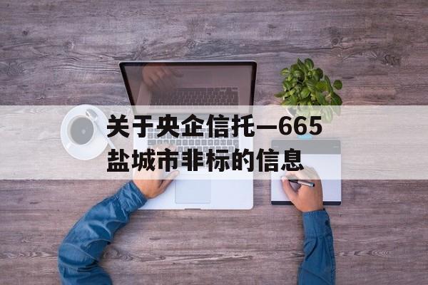 关于央企信托—665盐城市非标的信息