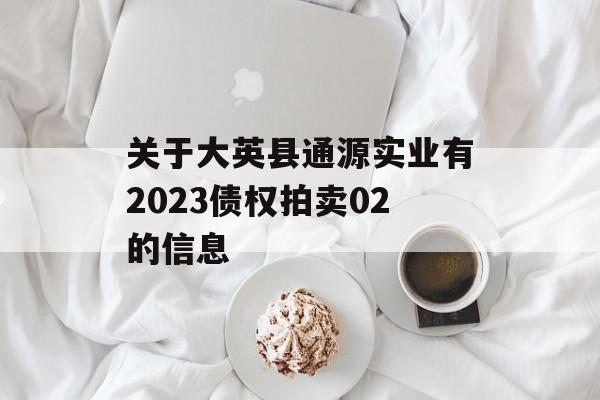 关于大英县通源实业有2023债权拍卖02的信息