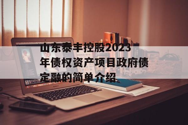 山东泰丰控股2023年债权资产项目政府债定融的简单介绍