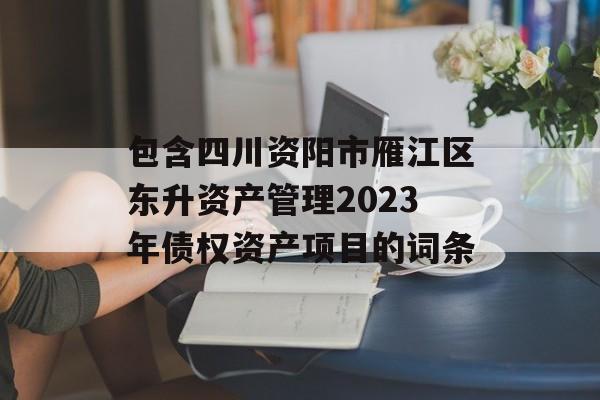 包含四川资阳市雁江区东升资产管理2023年债权资产项目的词条