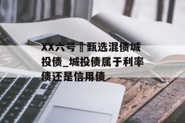 XX六号•甄选混债城投债_城投债属于利率债还是信用债