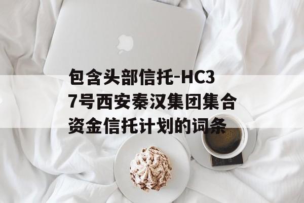 包含头部信托-HC37号西安秦汉集团集合资金信托计划的词条