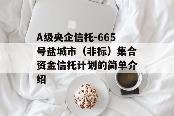 A级央企信托-665号盐城市（非标）集合资金信托计划的简单介绍