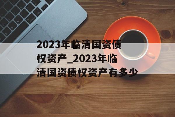 2023年临清国资债权资产_2023年临清国资债权资产有多少