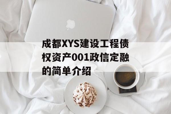 成都XYS建设工程债权资产001政信定融的简单介绍