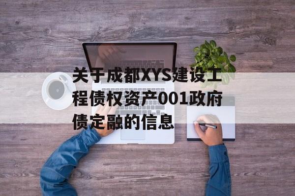 关于成都XYS建设工程债权资产001政府债定融的信息