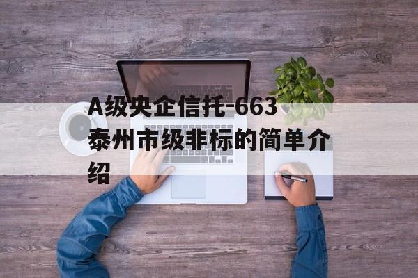 A级央企信托-663泰州市级非标的简单介绍