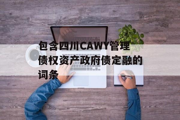 包含四川CAWY管理债权资产政府债定融的词条