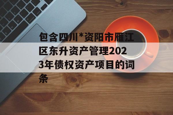 包含四川*资阳市雁江区东升资产管理2023年债权资产项目的词条