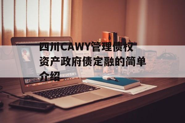 四川CAWY管理债权资产政府债定融的简单介绍