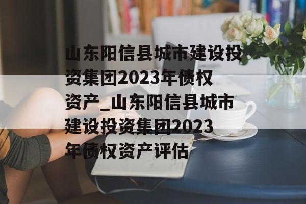 山东阳信县城市建设投资集团2023年债权资产_山东阳信县城市建设投资集团2023年债权资产评估