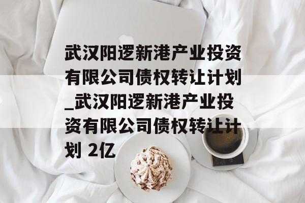 武汉阳逻新港产业投资有限公司债权转让计划_武汉阳逻新港产业投资有限公司债权转让计划 2亿