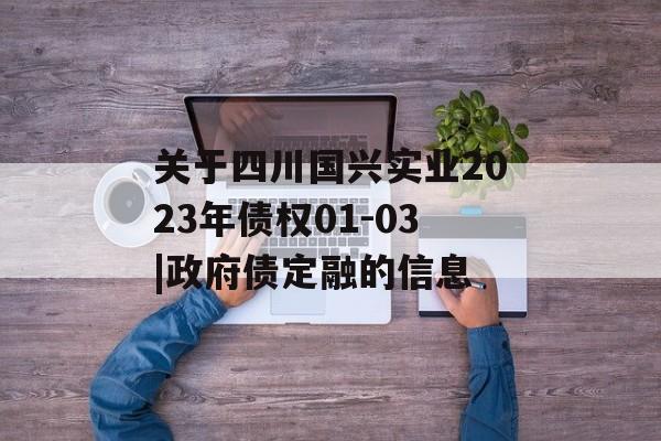 关于四川国兴实业2023年债权01-03|政府债定融的信息