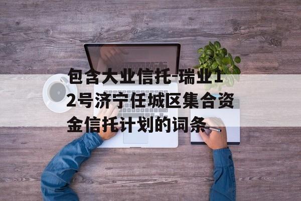 包含大业信托-瑞业12号济宁任城区集合资金信托计划的词条