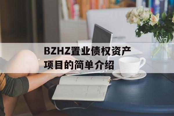 BZHZ置业债权资产项目的简单介绍