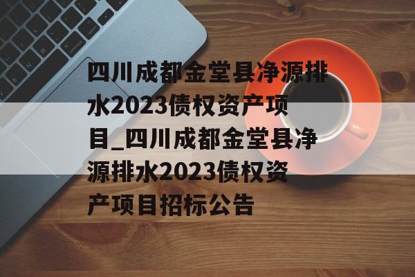 四川成都金堂县净源排水2023债权资产项目_四川成都金堂县净源排水2023债权资产项目招标公告