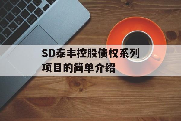 SD泰丰控股债权系列项目的简单介绍