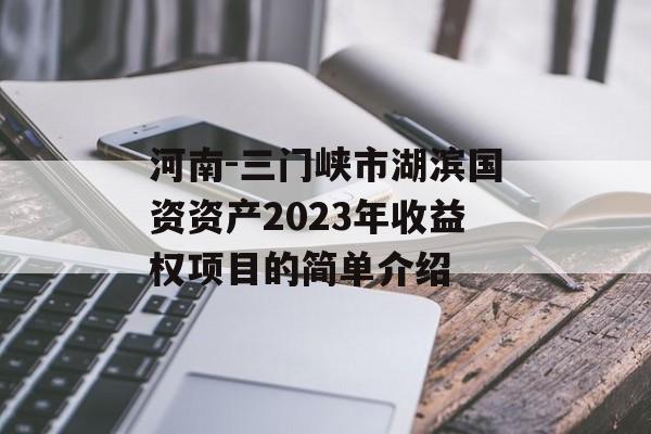 河南-三门峡市湖滨国资资产2023年收益权项目的简单介绍