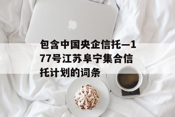 包含中国央企信托—177号江苏阜宁集合信托计划的词条