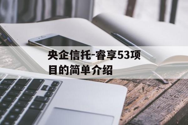 央企信托-睿享53项目的简单介绍