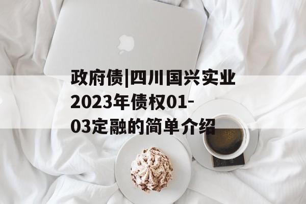 政府债|四川国兴实业2023年债权01-03定融的简单介绍