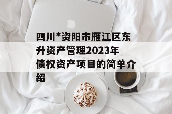 四川*资阳市雁江区东升资产管理2023年债权资产项目的简单介绍