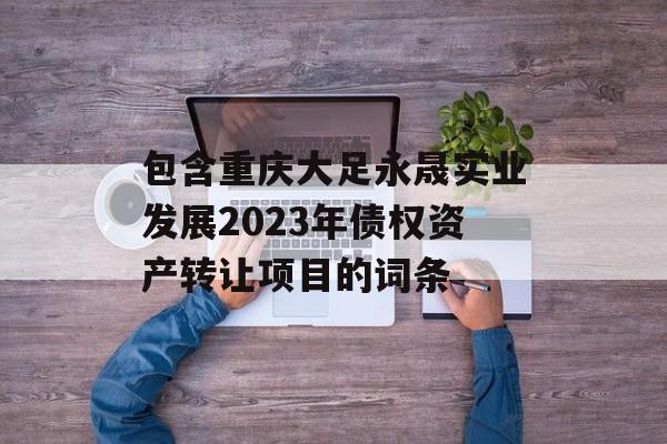 包含重庆大足永晟实业发展2023年债权资产转让项目的词条