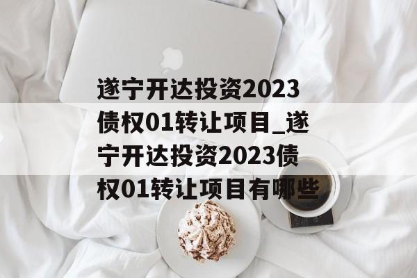 遂宁开达投资2023债权01转让项目_遂宁开达投资2023债权01转让项目有哪些