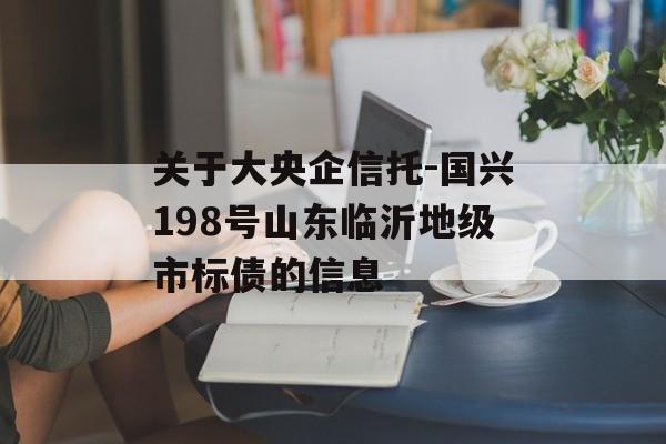 关于大央企信托-国兴198号山东临沂地级市标债的信息